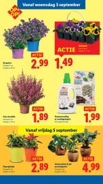Lidl reclame folder week 36, pagina.29