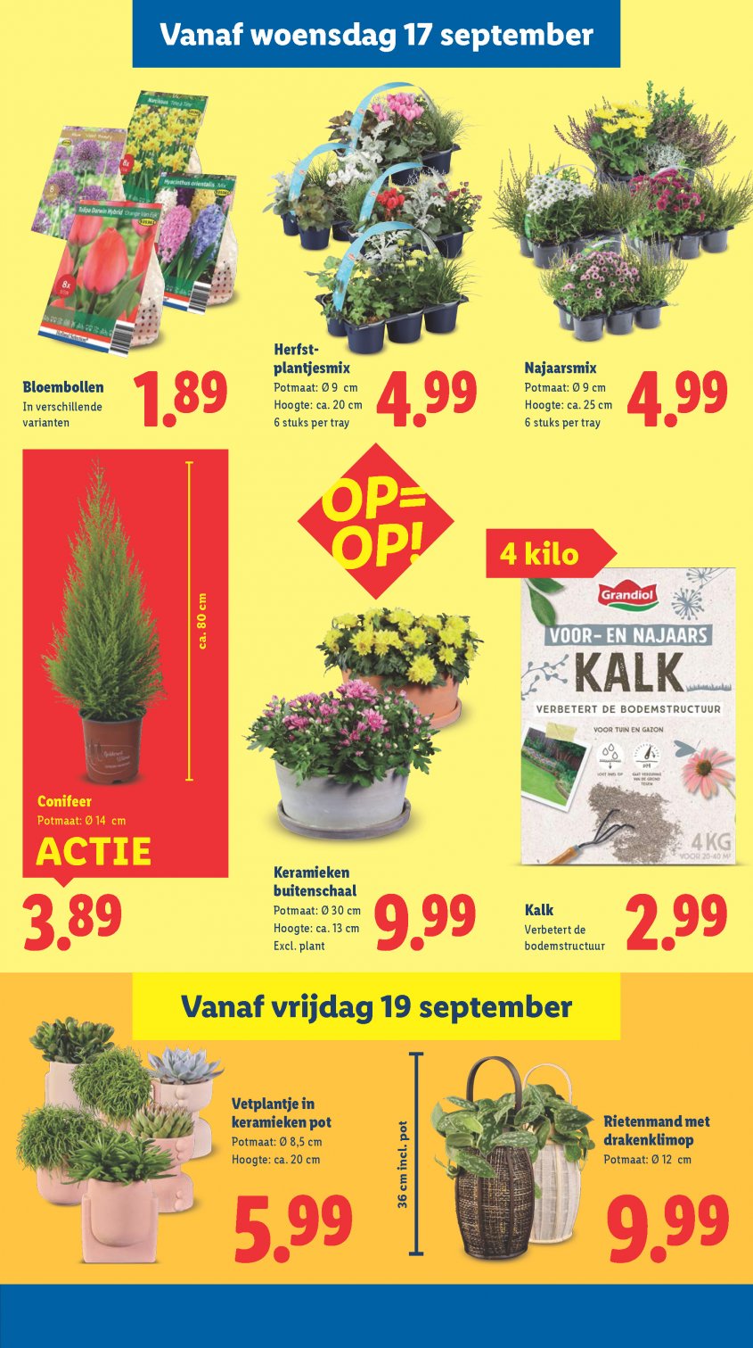 Lidl Aanbiedingen van 15-09-2025 pagina.31