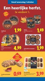 Lidl reclame folder week 40, pagina.31