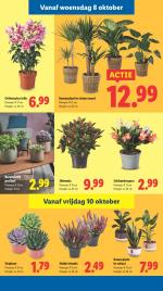 Lidl reclame folder week 41, pagina.35