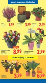 Lidl reclame folder week 42, pagina.29