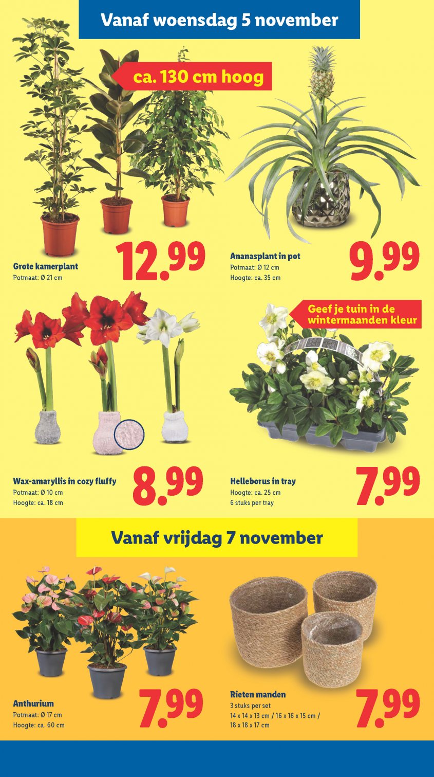 Lidl Aanbiedingen van 03-11-2025 pagina.21