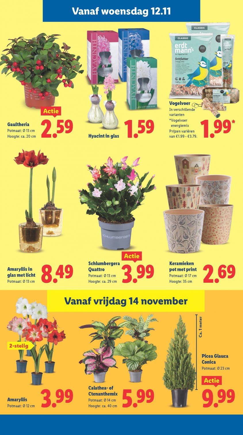 Lidl Aanbiedingen van 10-11-2025 pagina.20
