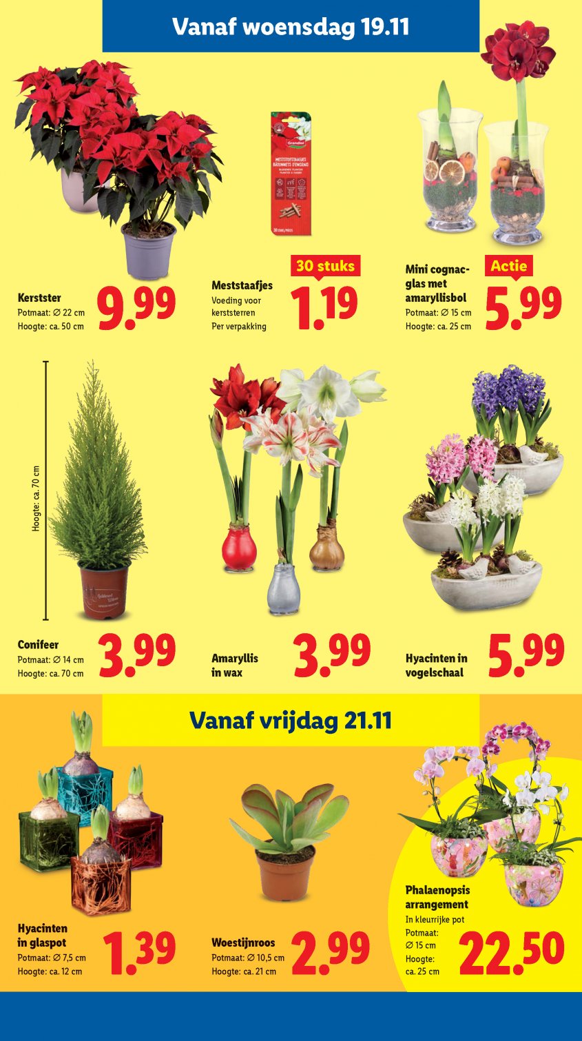 Lidl Aanbiedingen van 17-11-2025 pagina.17