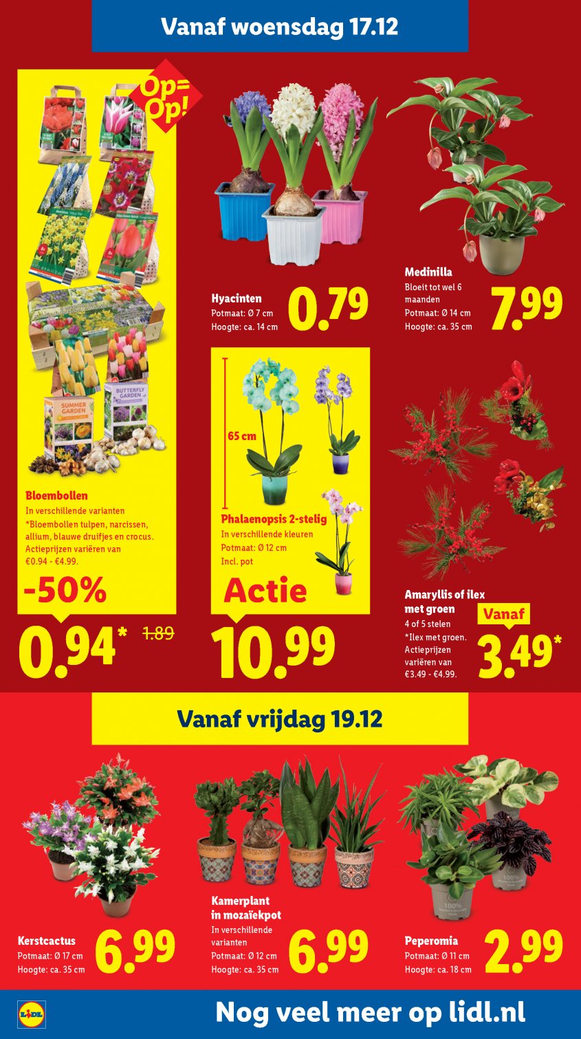 Lidl Aanbiedingen van 15-12-2025 pagina.24