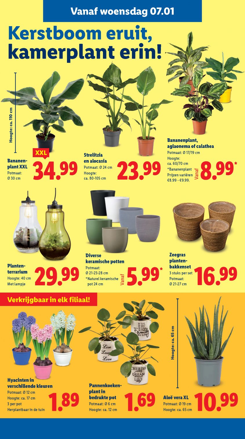 Lidl Aanbiedingen van 05-01-2026 pagina.16