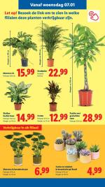 Lidl reclame folder week 02, pagina.17