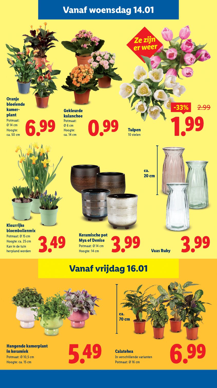 Lidl Aanbiedingen van 12-01-2026 pagina.21