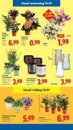 Lidl reclame folder week 03, pagina.21