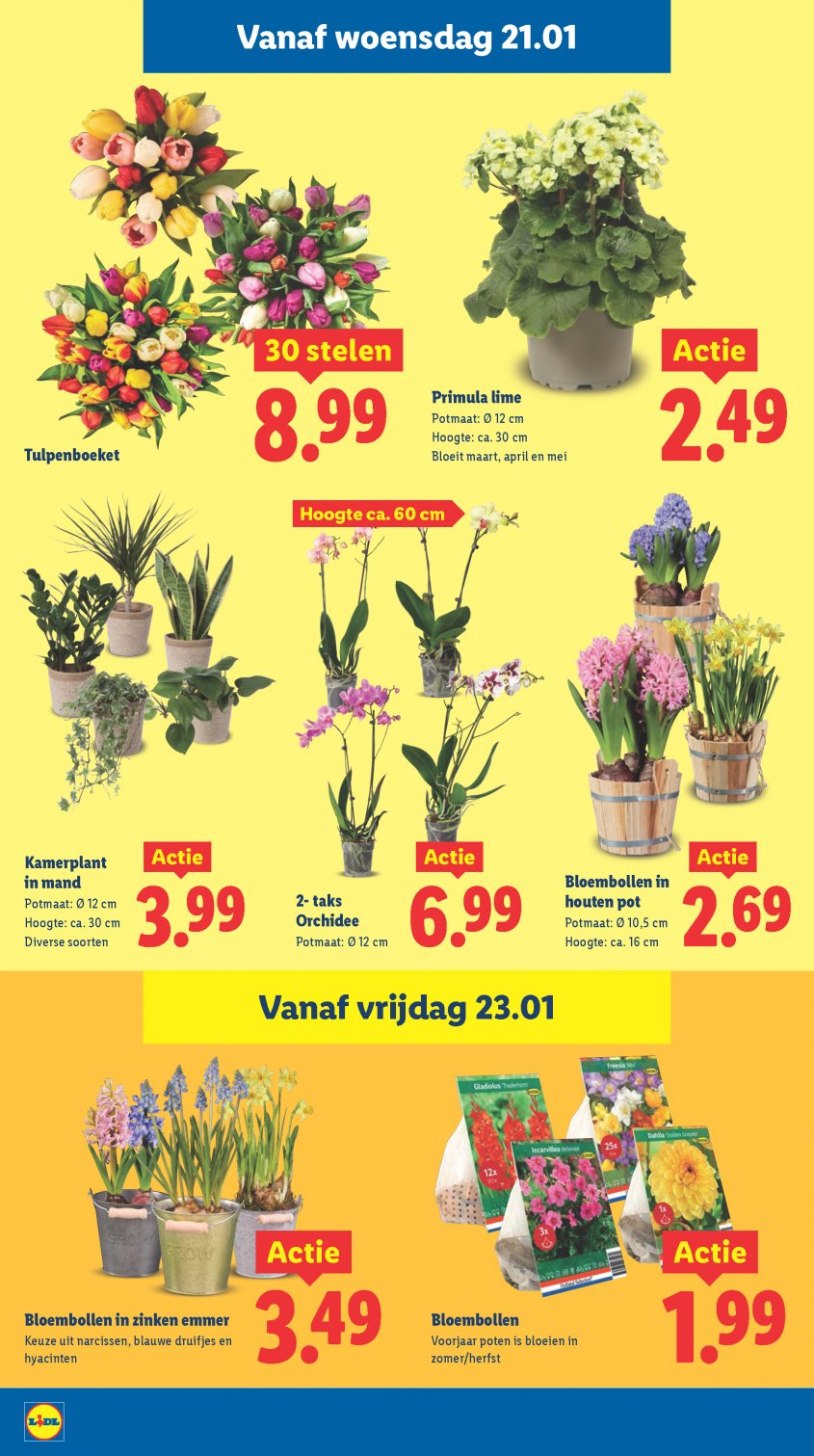 Lidl Aanbiedingen van 19-01-2026 pagina.22