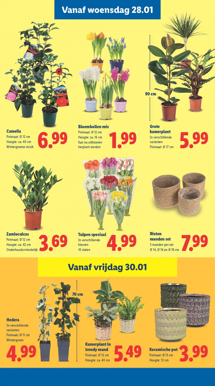 Lidl Aanbiedingen van 26-01-2026 pagina.20