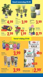 Lidl reclame folder week 09, pagina.17