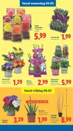Lidl reclame folder week 10, pagina.24