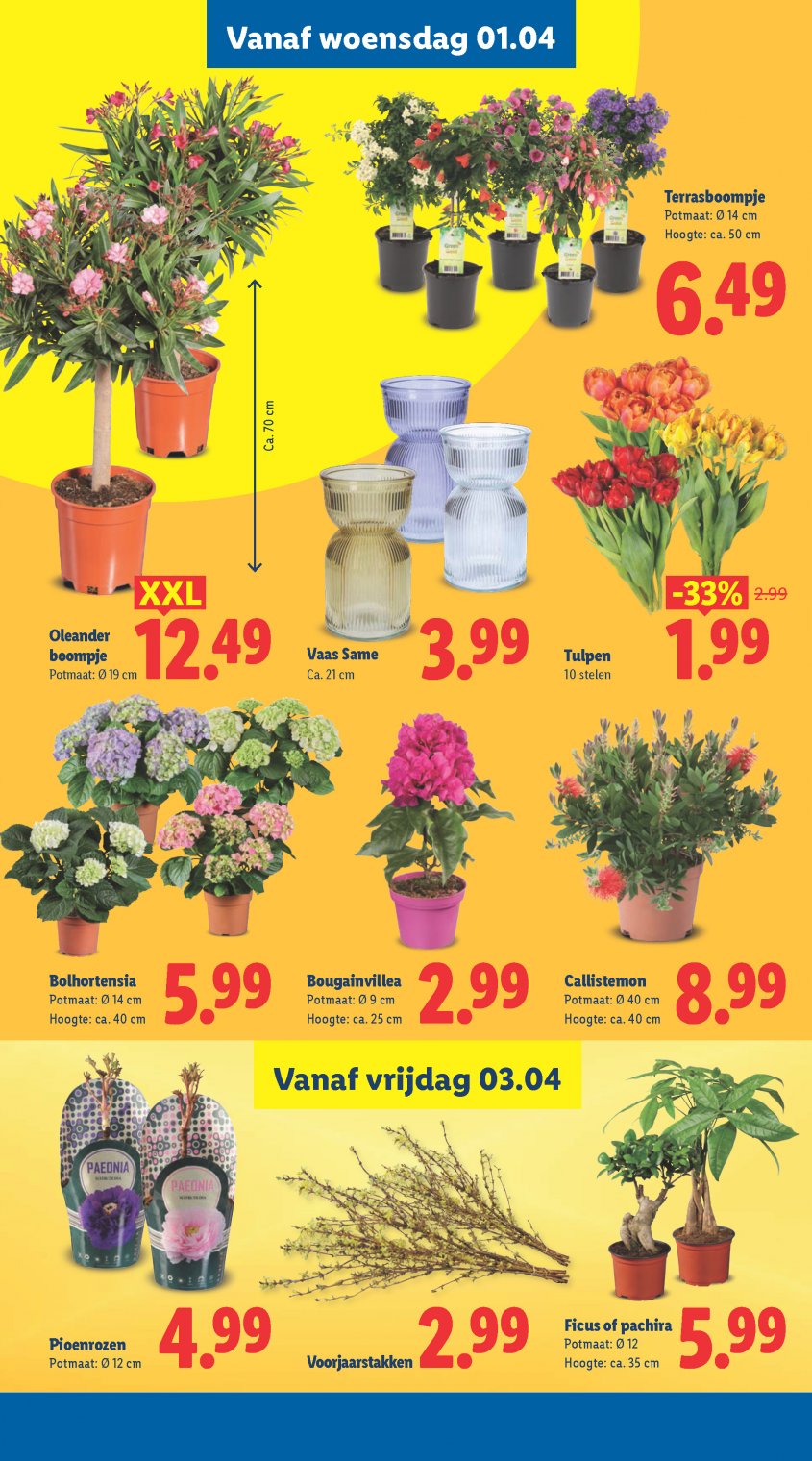 Lidl Aanbiedingen van 30-03-2026 pagina.40