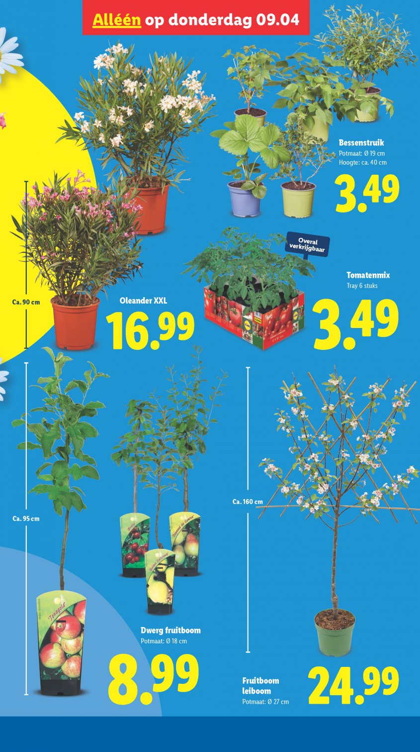 Lidl Aanbiedingen van 07-04-2026 pagina.39