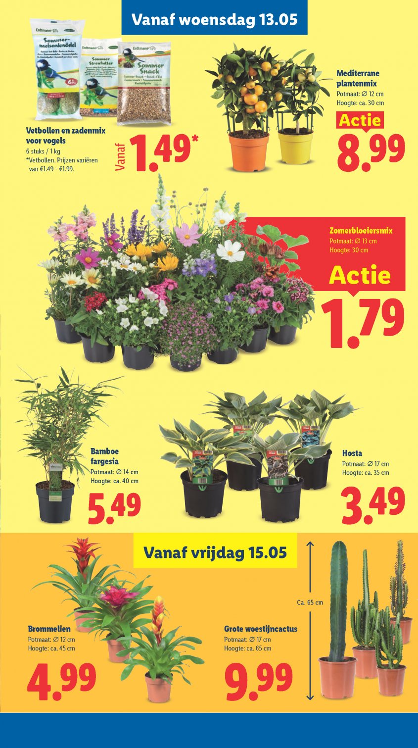 Lidl Aanbiedingen van 11-05-2026 pagina.31