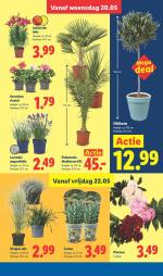 Lidl reclame folder week 21, pagina.29
