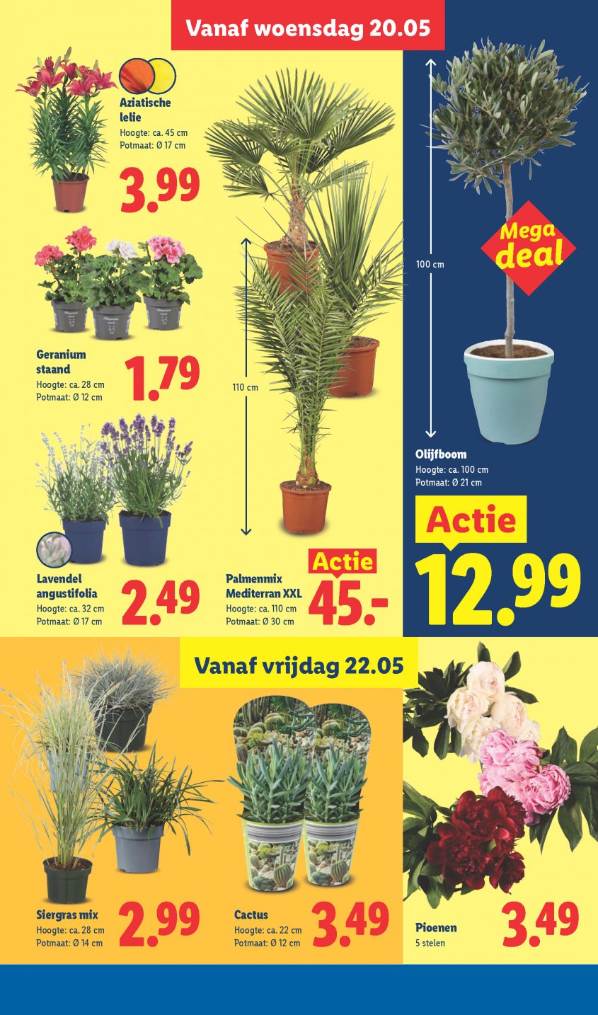 Lidl Aanbiedingen van 18-05-2026 pagina.29