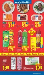 Lidl reclame folder week 22, pagina.53