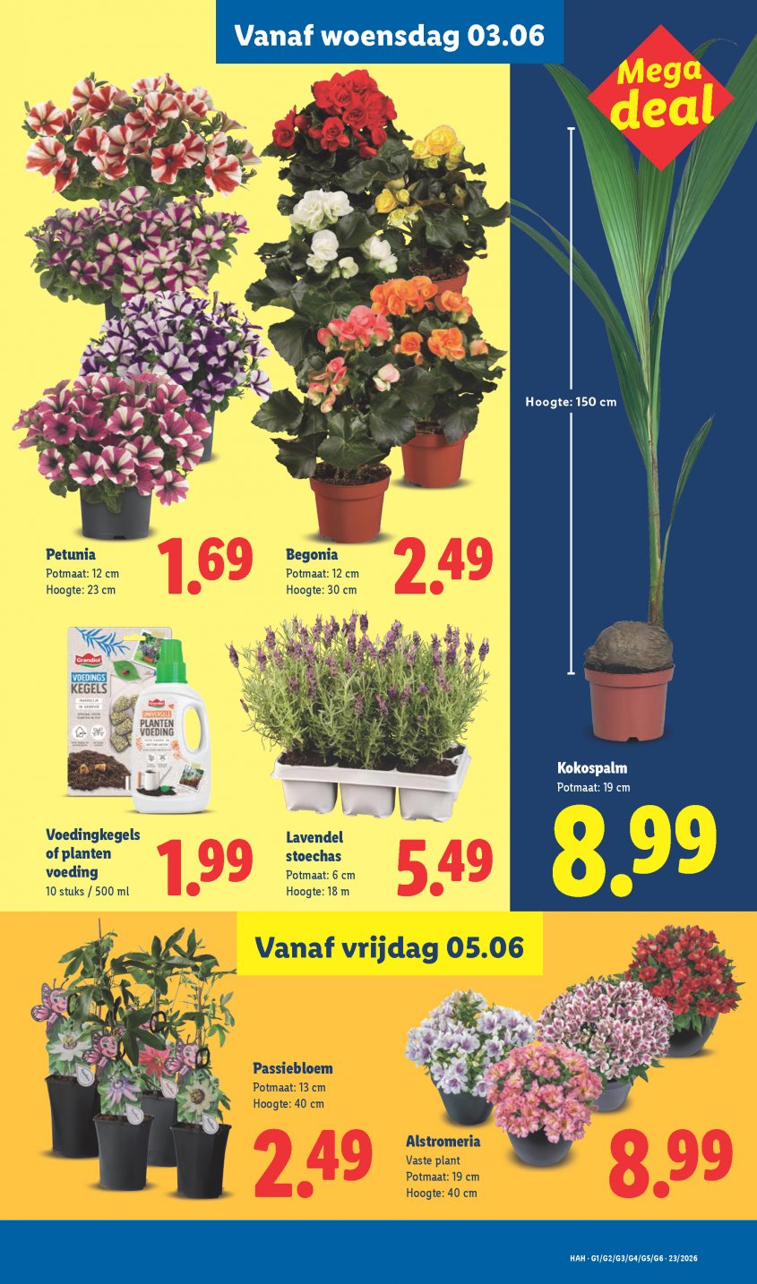 Lidl Aanbiedingen van 01-06-2026 pagina.24