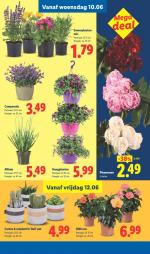 Lidl reclame folder week 24, pagina.25