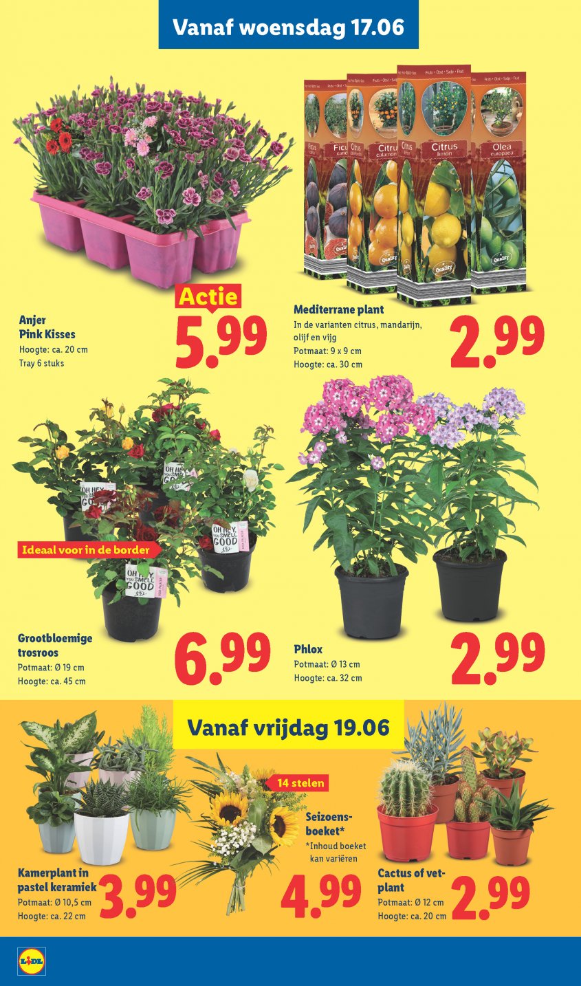 Lidl Aanbiedingen van 15-06-2026 pagina.19