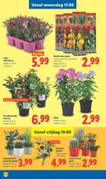 Lidl reclame folder week 25, pagina.19