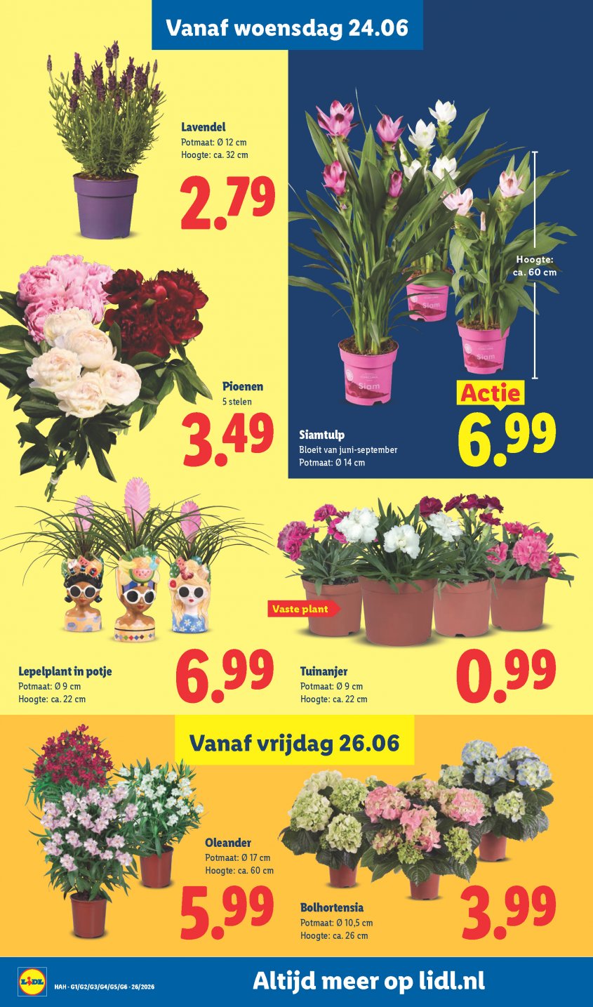 Lidl Aanbiedingen van 22-06-2026 pagina.19