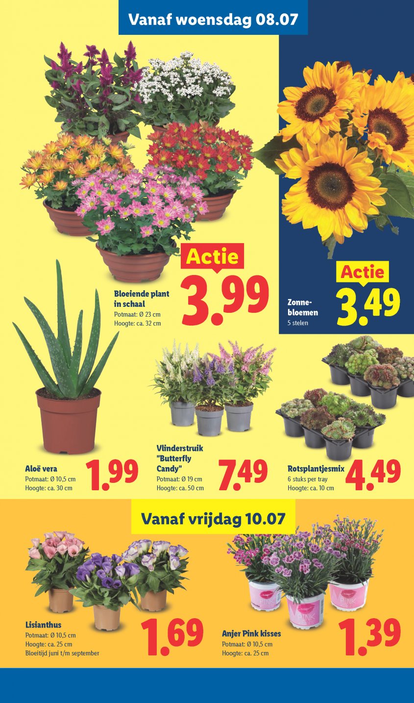 Lidl Aanbiedingen van 06-07-2026 pagina.16