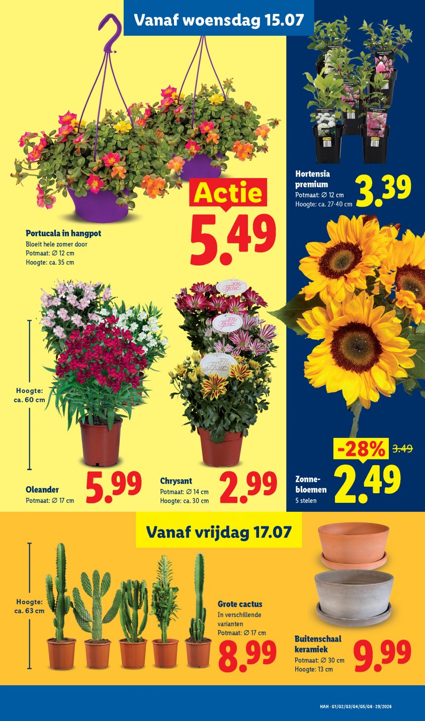 Lidl Aanbiedingen van 13-07-2026 pagina.17
