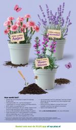 Plus reclame folder week 11 pagina.24 