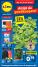 Lidl Aanbiedingen vanaf 02-06-2025 - totaal 54 pagina's