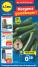 Lidl Aanbiedingen vanaf 17-03-2025 - totaal 55 pagina's